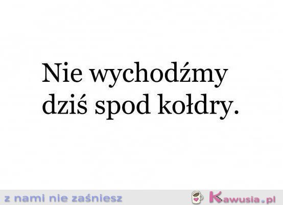 Plan na dziś