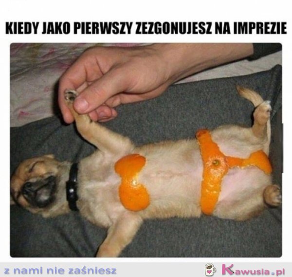 Każda impreza