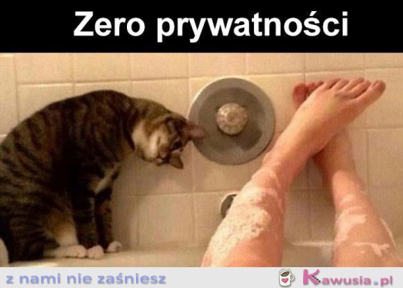 Ciekawość ma po pani
