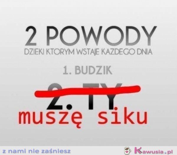 Dwa powody