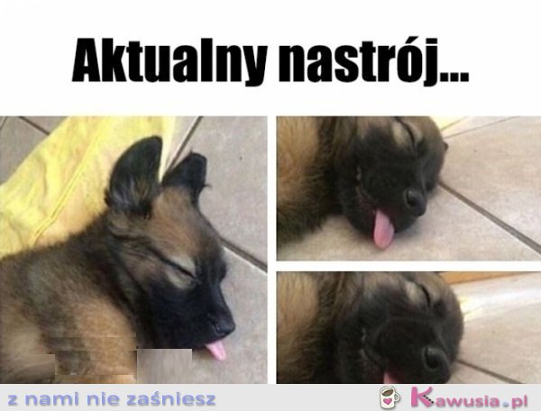 Wręcz poniedziałkowy...