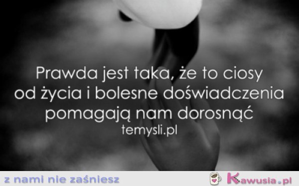 Prawda jest taka..