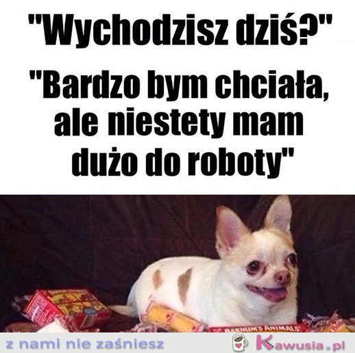 Mega ważne plany mam..