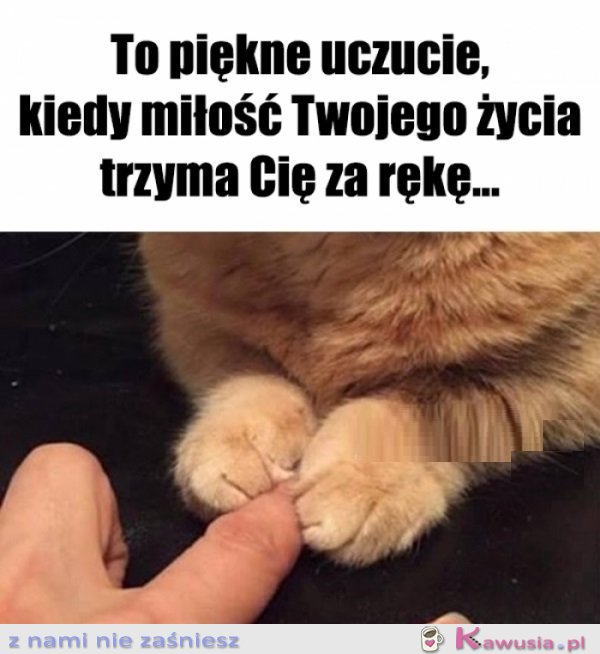 Together forever