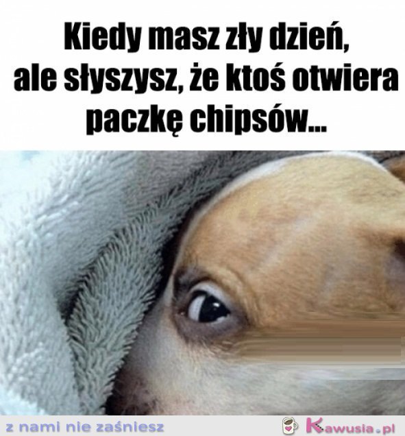 Może nie wszystko stracone...