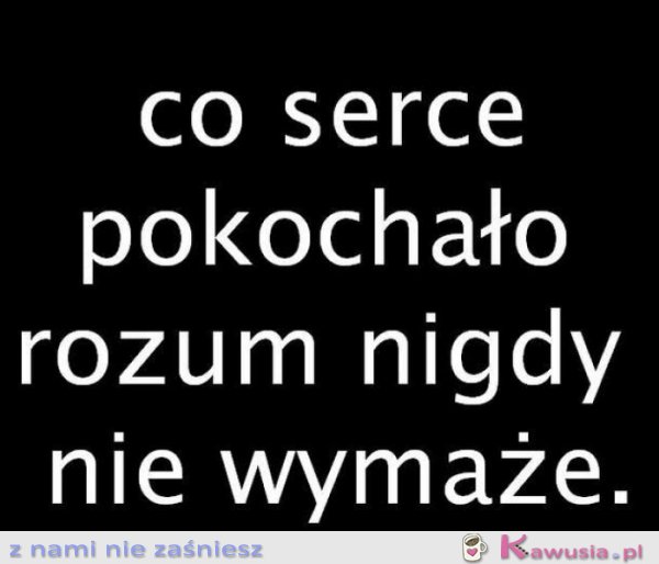 Co serce pokochało