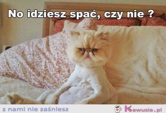 No idziesz spać?
