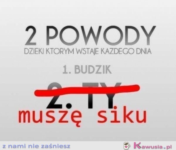Dwa powody