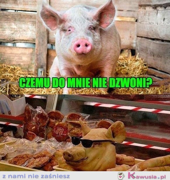 Czemu do mnie nie dzwoni?