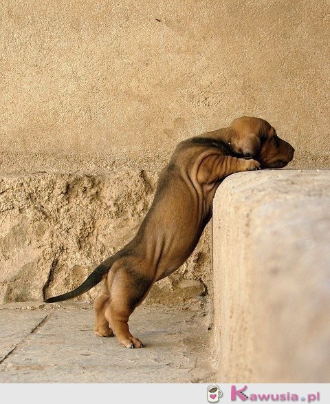 Jeszcze tylko kawałek i wejdę