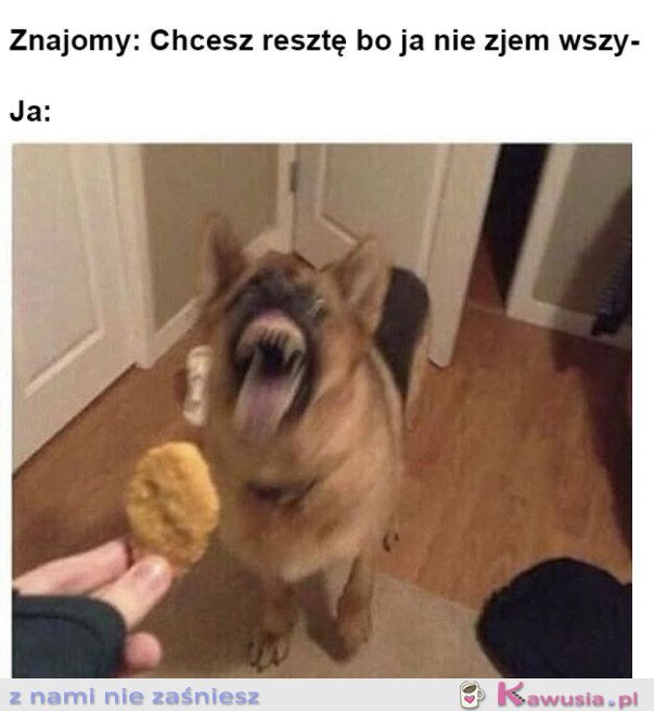 JESTEM ZACHŁANNY NA JEDZENIE