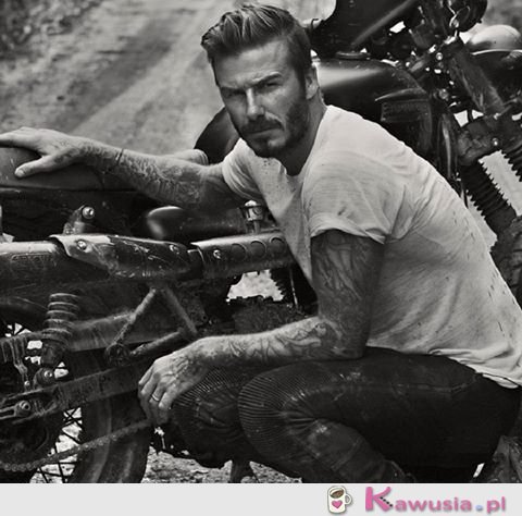 David Beckham