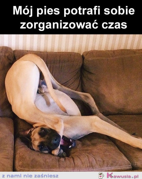 MUSZĘ SIĘ TEŻ NAUCZYĆ