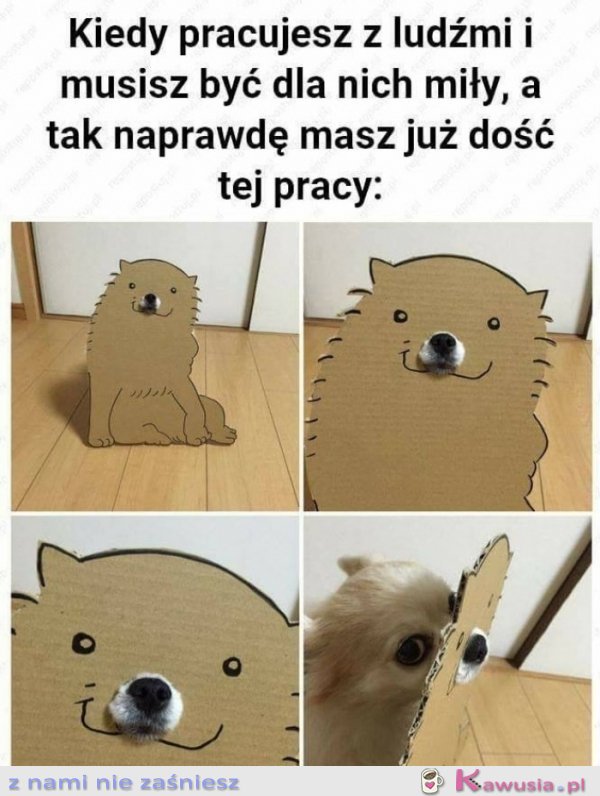 Kiedy pracujesz z ludźmi i musisz