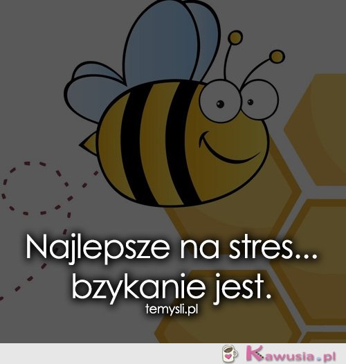 Najlepsze na stres