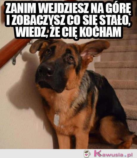 Zanim wejdziesz na górę