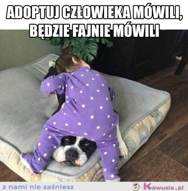 ADOPCJA CZŁOWIEKA