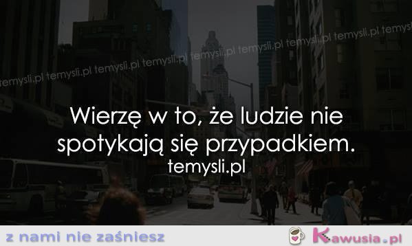 Szczerze w to wierzę