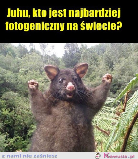 SŁODKIE SELFIE