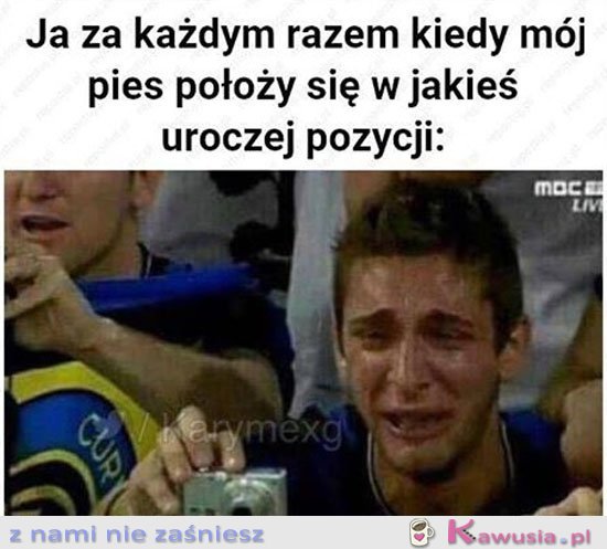 Mój piesek jest taki słodki