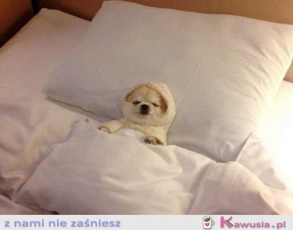 Nie trzeba mi więcej