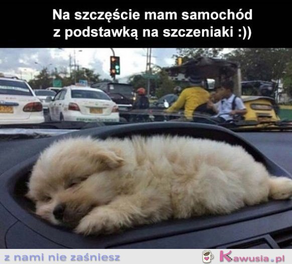 Na szczęście mam taką podstawkę