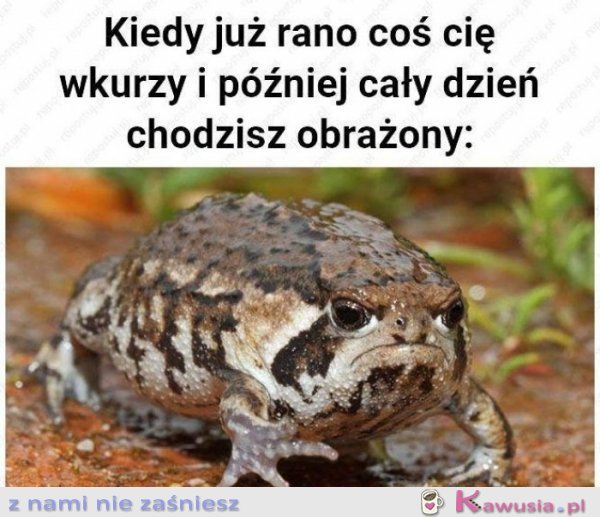 Kiedy już rano coś cię wkurzy