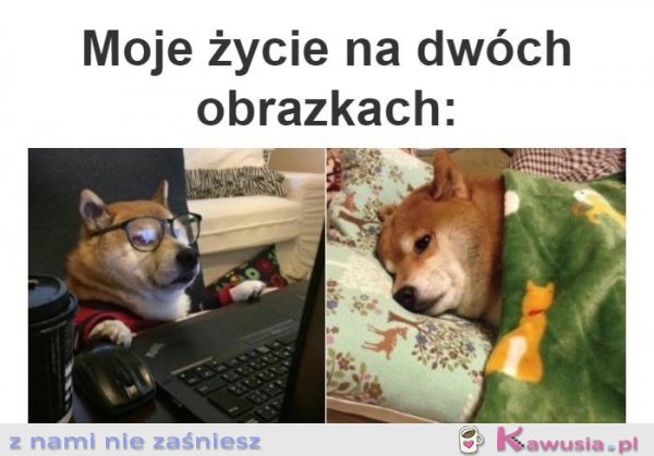 Całe moje życie na 2 obrazkach