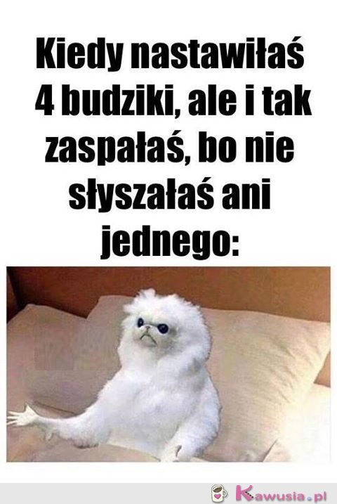 Kiedy nastawiłaś 4 budziki