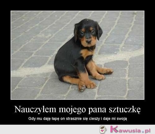 Nauczyłem mojego Pana