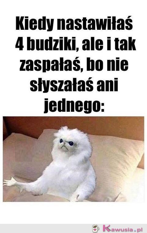 Kiedy nastawiłaś 4 budziki