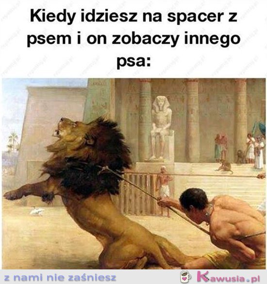Kiedy idziesz z piesełem na spacer