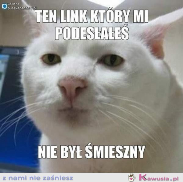 Ten link, który mi podesłałeś...