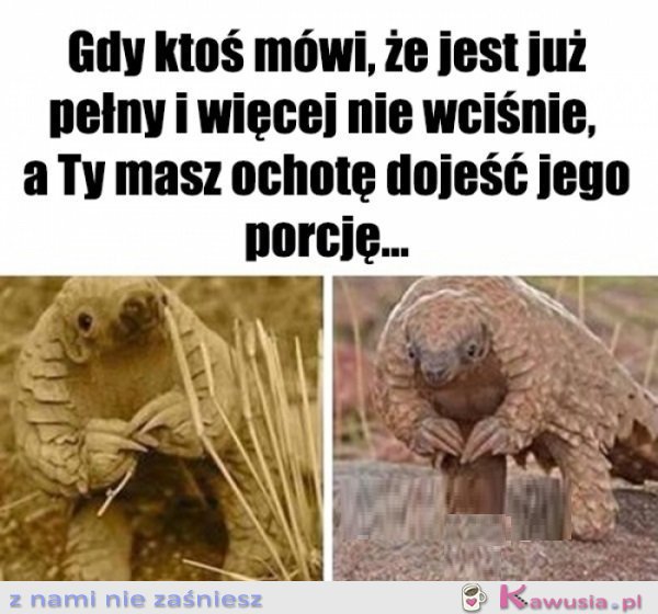 Co ma się zmarnować...