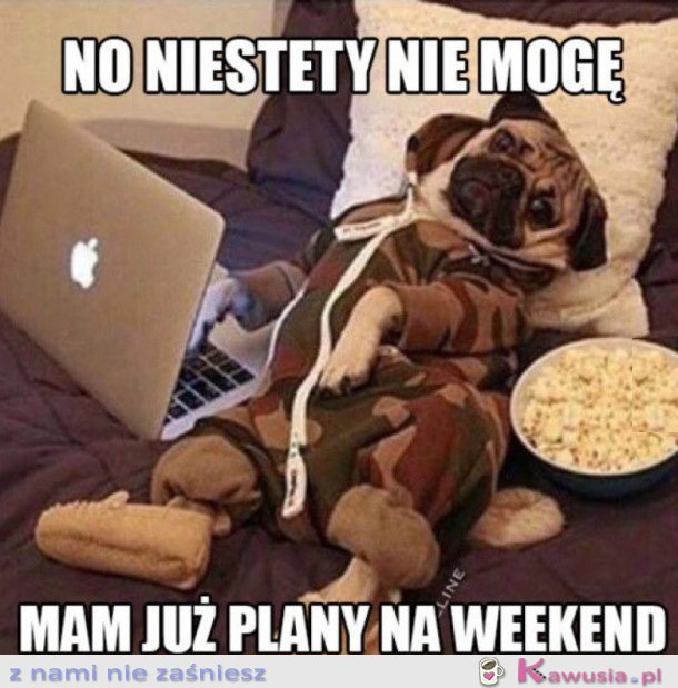 PLANY NA WEEKEND