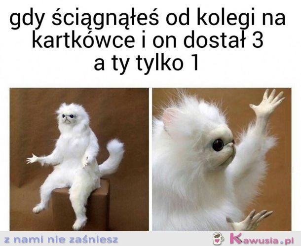 NIE OGARNIAM