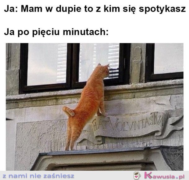 W ogóle nie jestem ciekawa