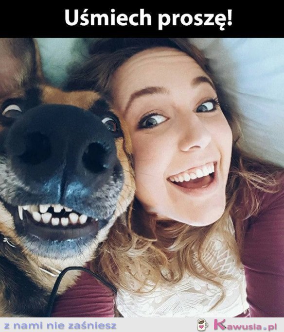 POWIEDZ SER