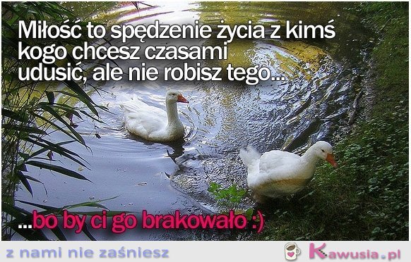 Miłość to