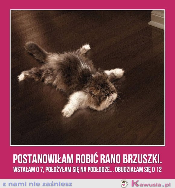 Brzuszki