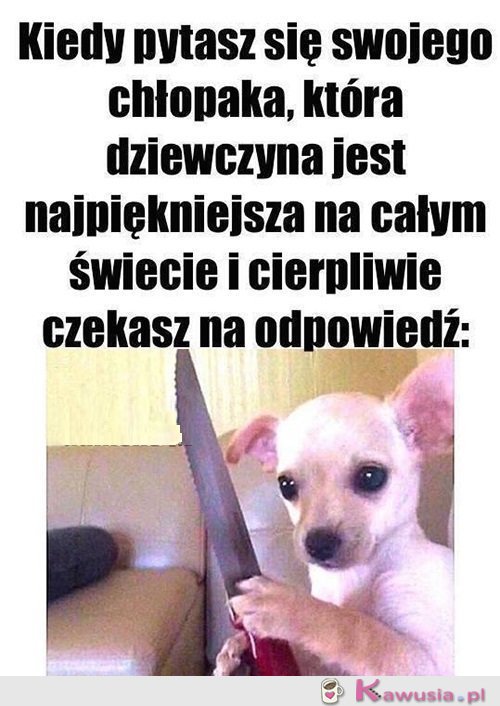 Zastan&oacute;w się dobrze...