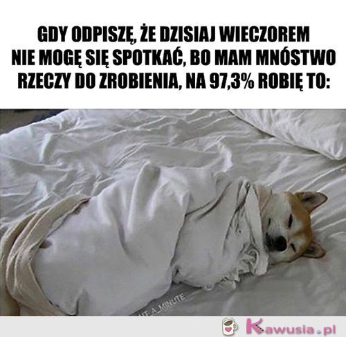 Nie wiem w co ręce włożyć...