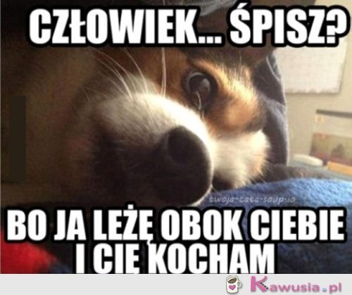 No kocham Cię przecież, śpisz?