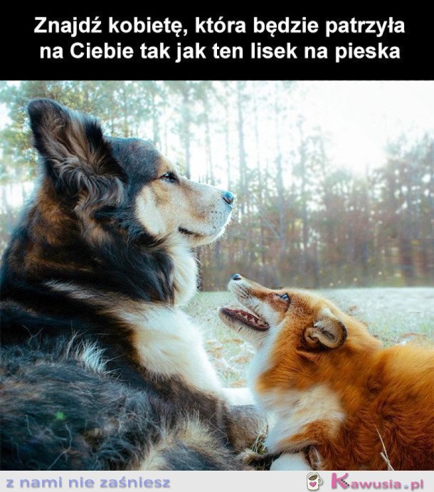 ZNAJDŹ KOGOŚ TAKIEGO