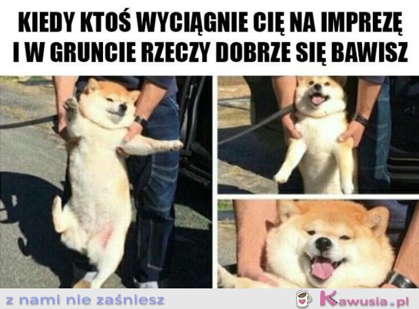 Bawię się cudownie