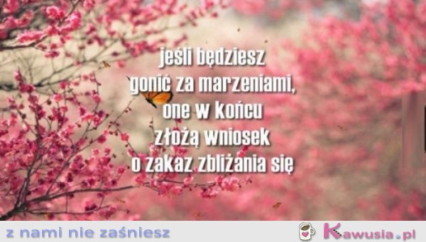 Jeżeli będziesz gonił za marzeniami