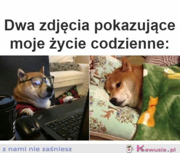 Dwa zdjęcia pokazujące moje życie