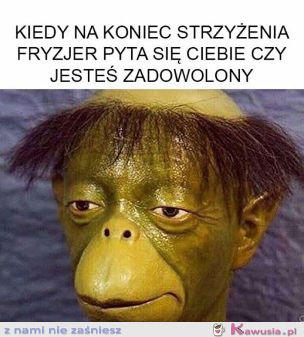 Czy jest pan zadowolony