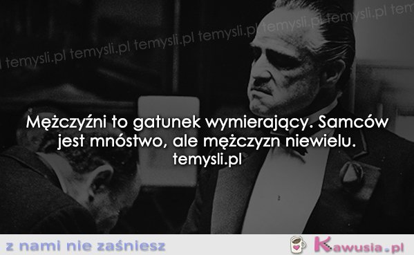 Mężczyźni to gatunek wymierający...