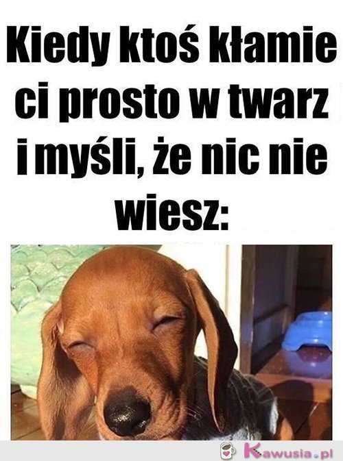 Mhmmmm.